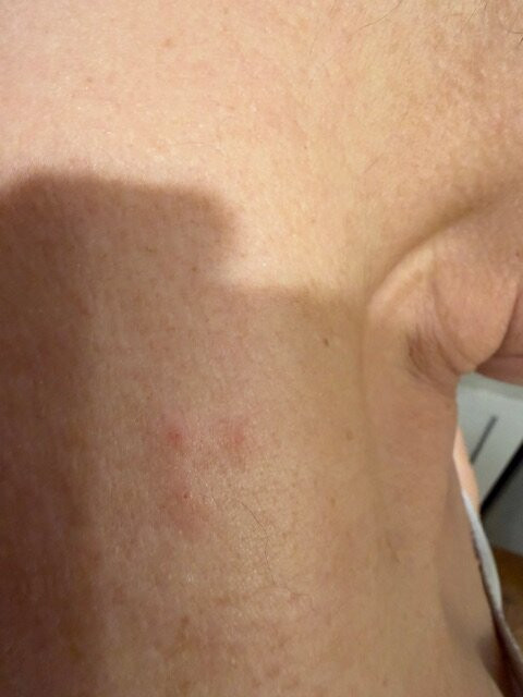 智选假日酒店-沃希斯-劳雷尔山-洲际酒店集团旗下主图