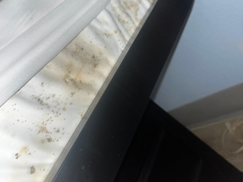 尤福拉湖附近凯艺套房酒店主图