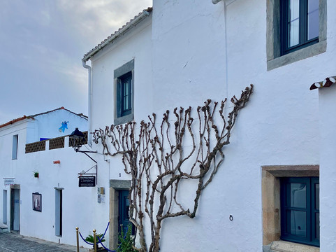 安东尼亚女士的家主图