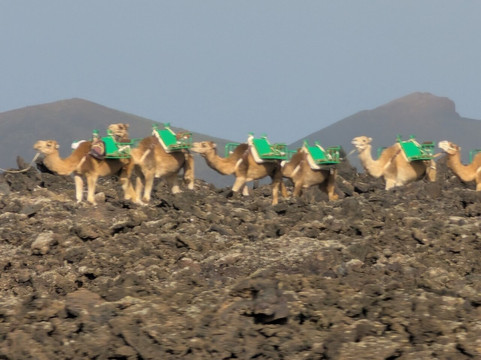 Rotonda De Los Camellos-Uga必去景点