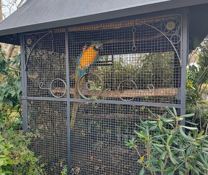 La Voliera Reale主图