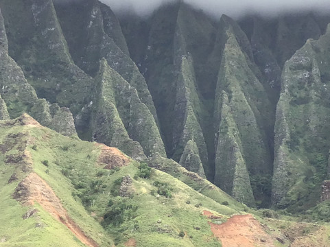 Blue Dolphin Charters-埃里埃利必去景点
