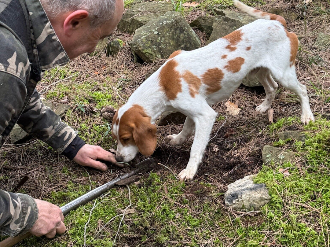 Umbria in Tour-奥尔维耶托必去景点