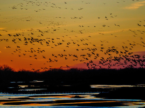 Crane Trust-Wood River必去景点
