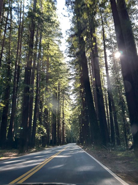 埃尔克科夫酒店及Spa-官方