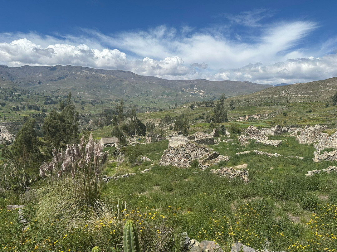 Uyo Uyo Archaeological Site-Yanque必去景点
