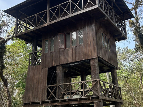 Nepal Dynamic Eco Tours & Services-奇旺国家公国必去景点