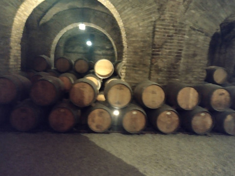 Vina Santa Carolina-圣地亚哥必去景点