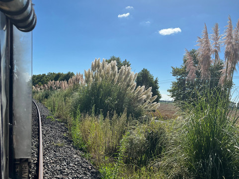 Awakeri Rail Adventures-法卡塔尼必去景点