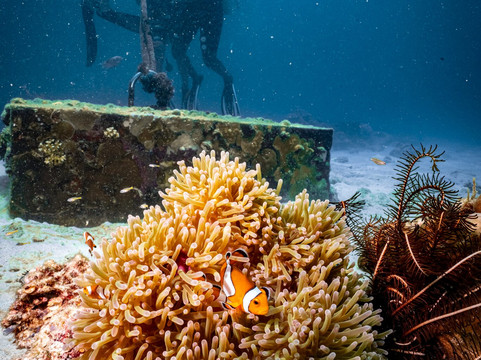 Forra Diving - Day Tour-丽贝岛必去景点