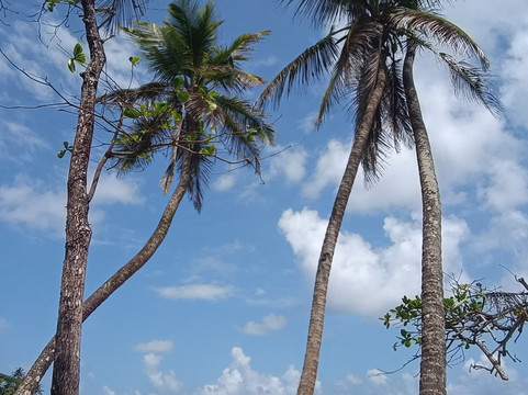 Playa Cacique-Contadora Island必去景点