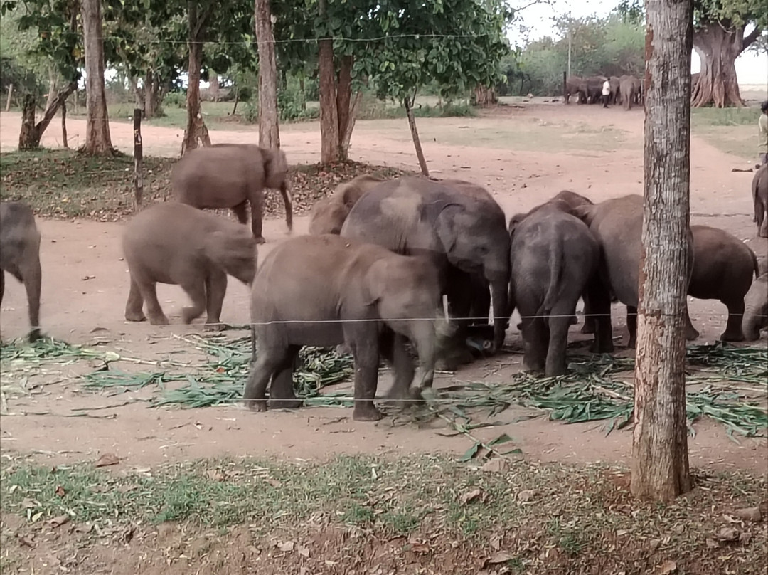 绿景野外度假村主图