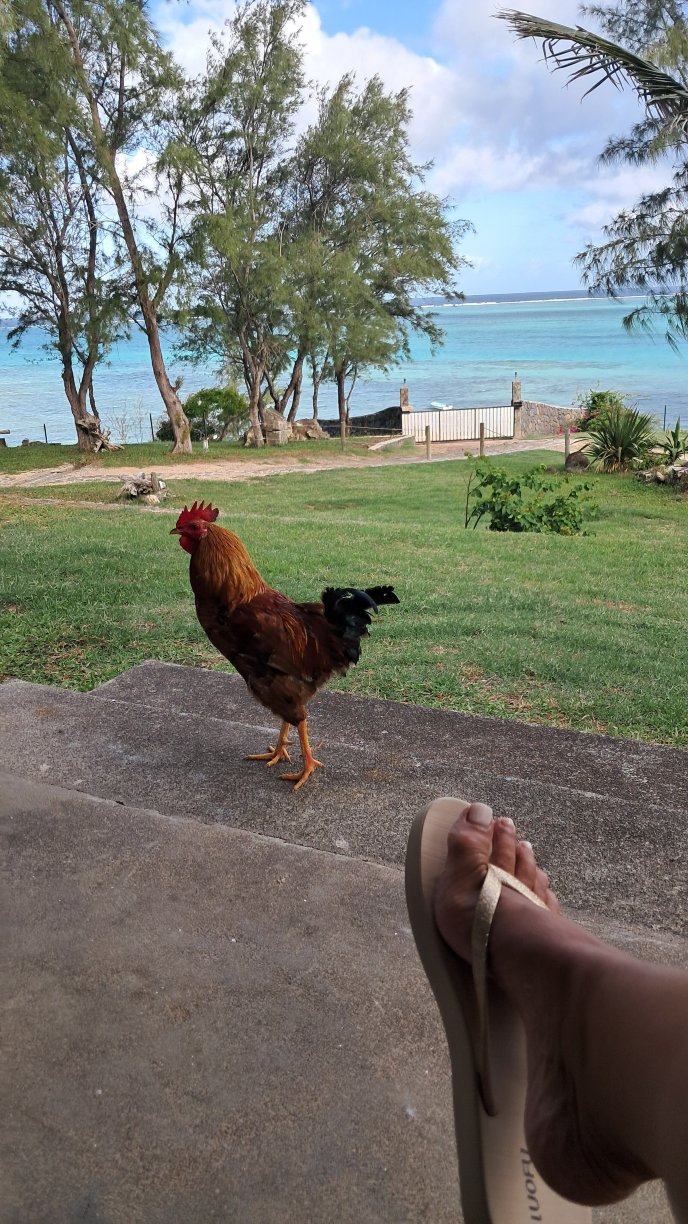 拉贝尔罗德里旅馆-酒店景观