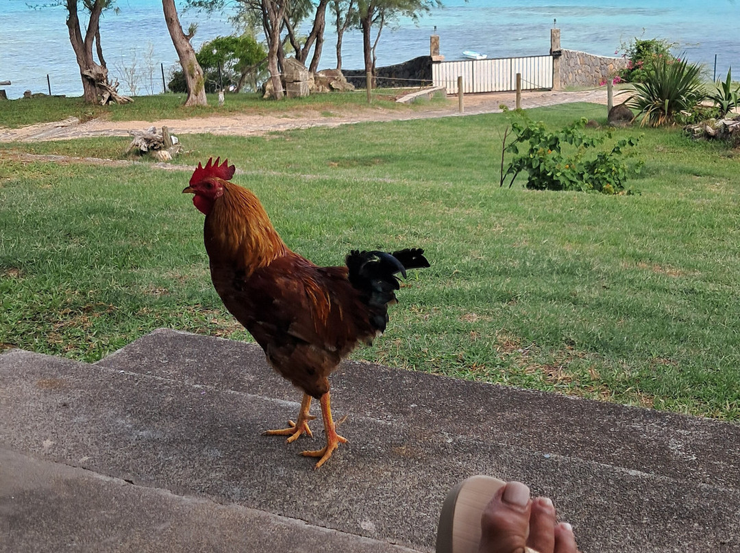 拉贝尔罗德里旅馆主图