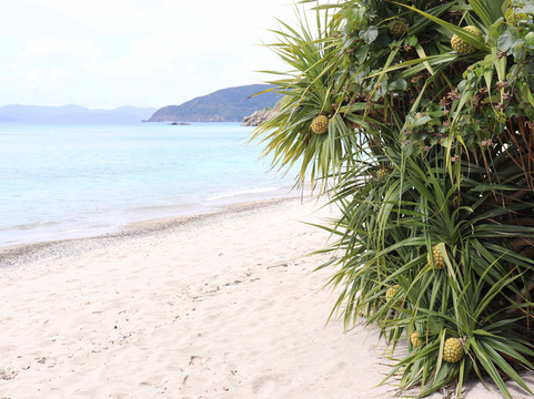 Yadoribama Beach-濑户内町必去景点
