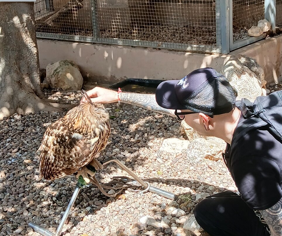 Birdpark Malta-Salina必去景点