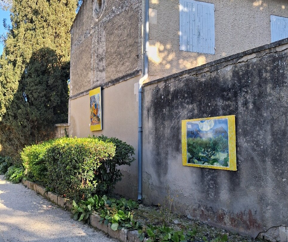 Camargue Alpilles Safaris-阿尔勒必去景点
