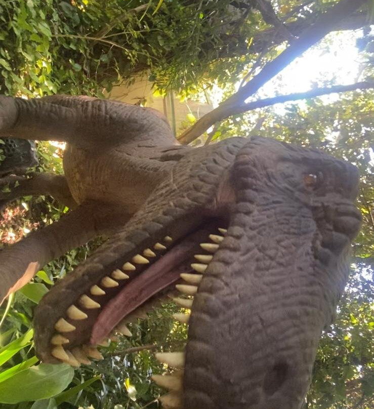 Coffs Harbour Butterfly House-Bonville必去景点