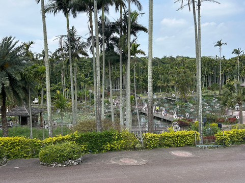 东南植物乐园-冲绳市必去景点