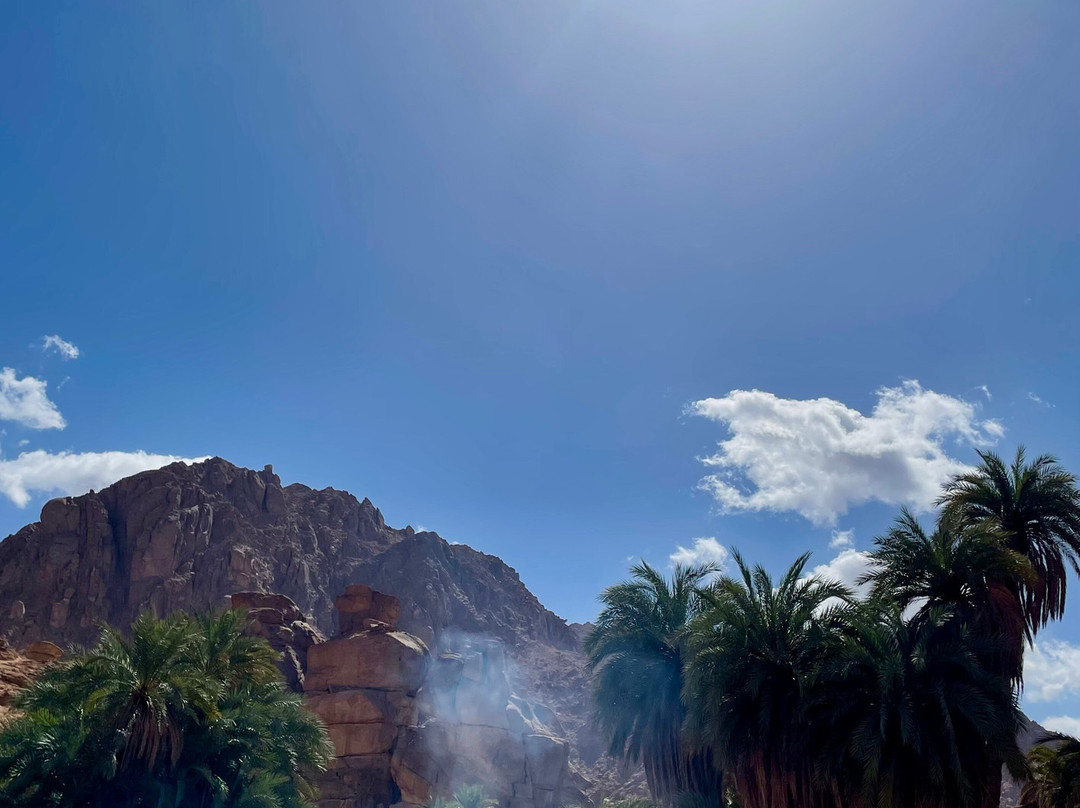 Desert Divers Dahab-达哈卜必去景点