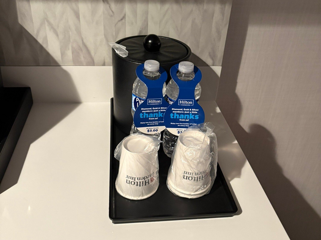 阿灵顿豪斯广场希尔顿花园酒店主图