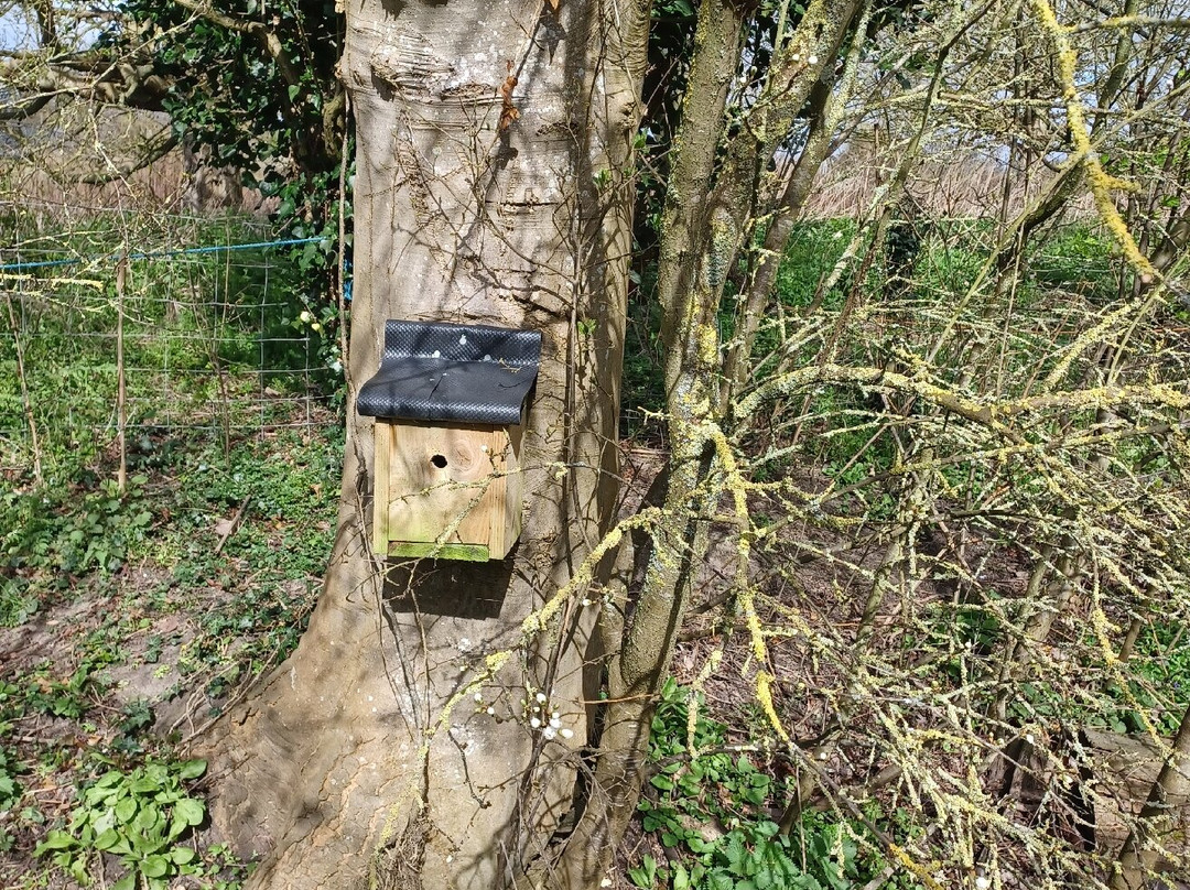 Softwell  Nature Reserve