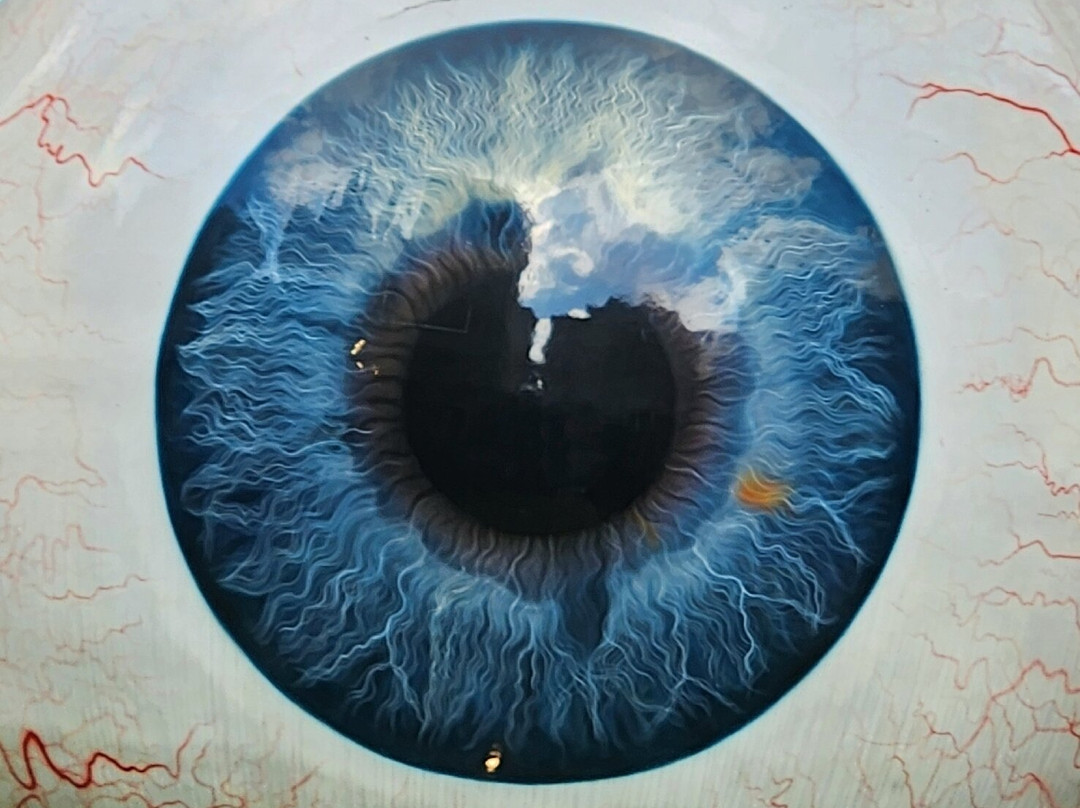 Giant Eyeball-达拉斯必去景点