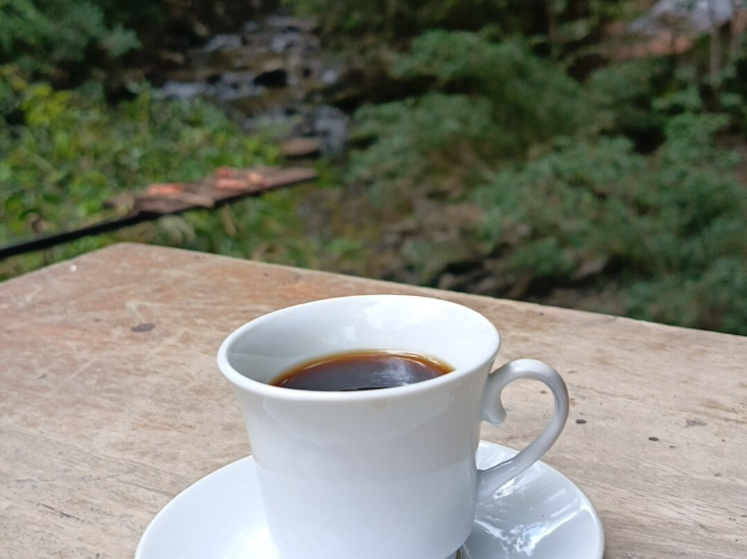 Butterfly Garden Sierra Nevada-Minca必去景点