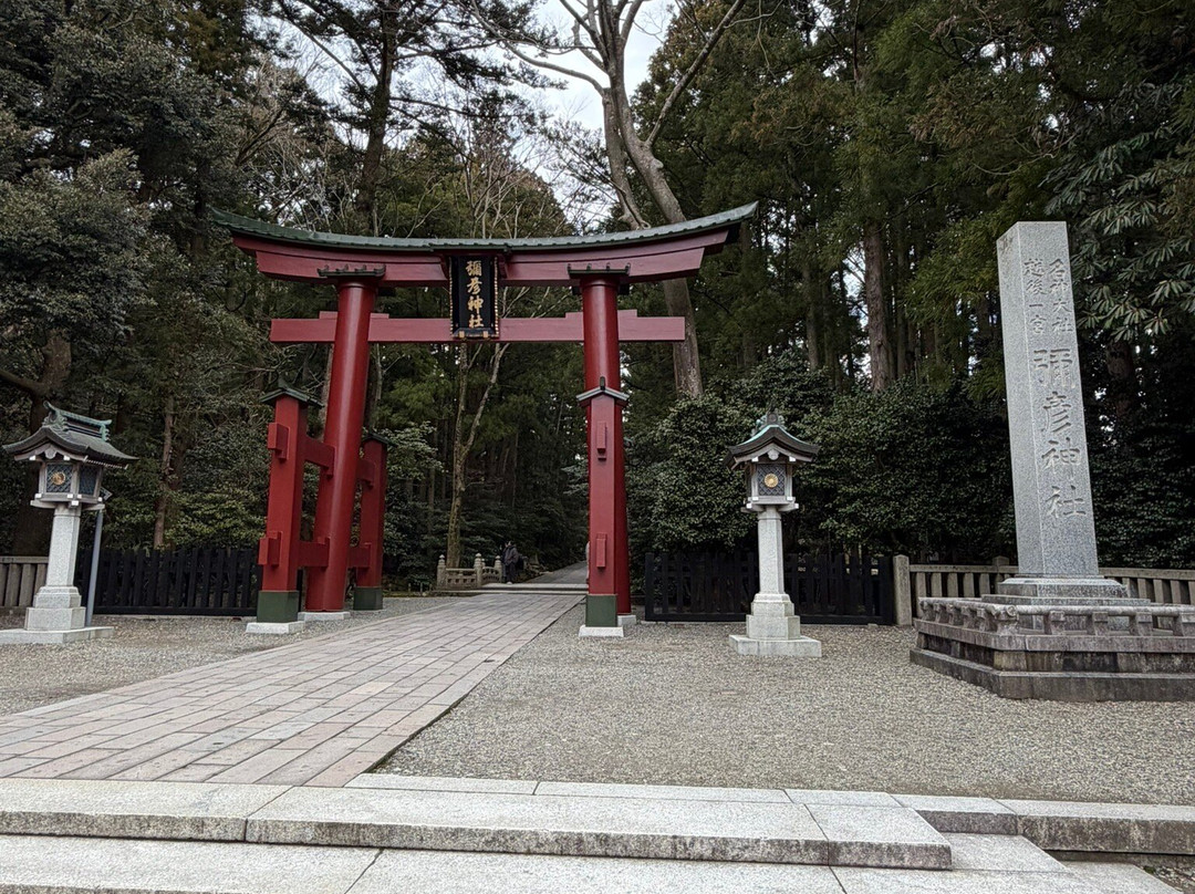 Yahiko Shrine-弥彦村必去景点