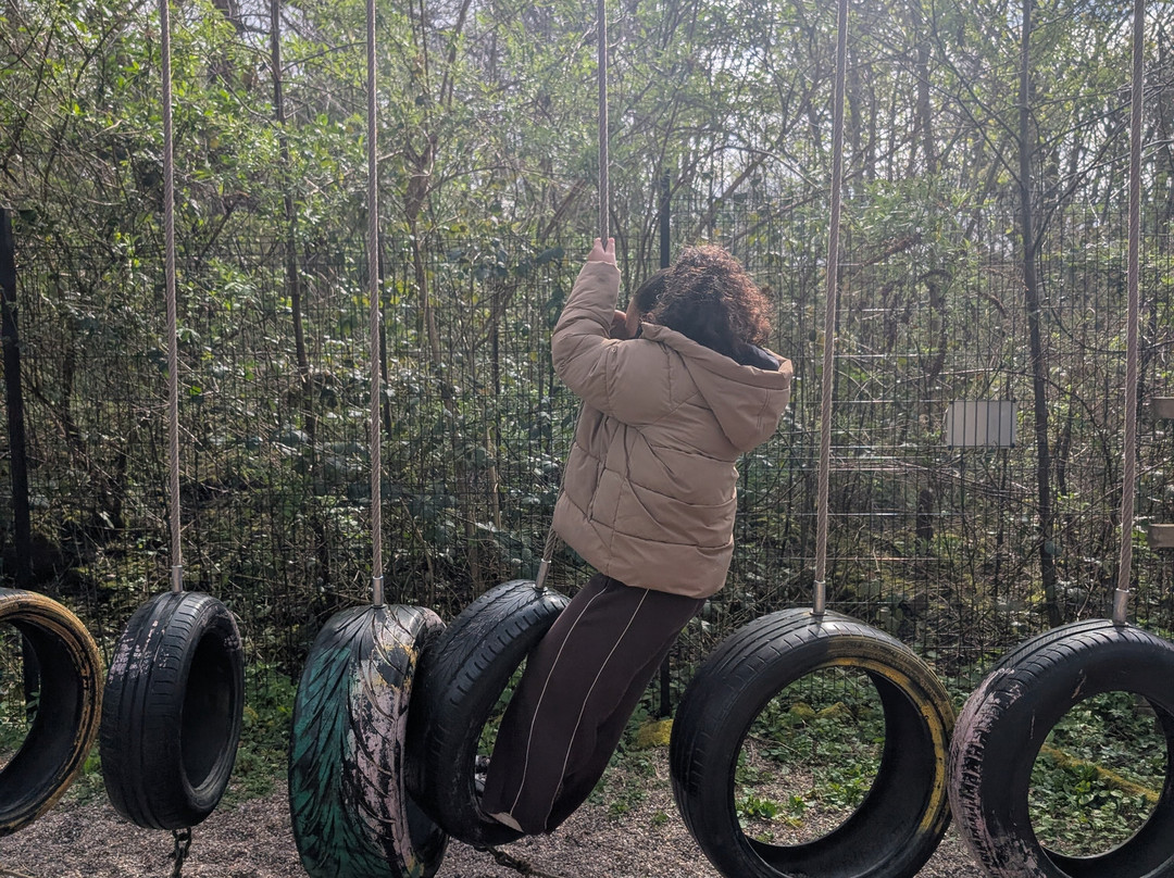 Challenge Academy-沃尔夫汉普顿必去景点