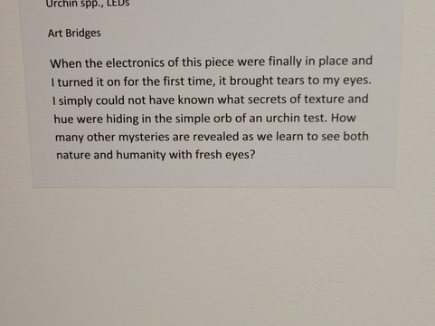 Peoria Riverfront Museum-皮奥里亚必去景点