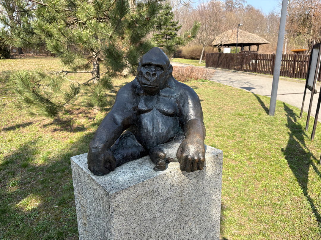 Miejski Ogrod Zoologiczny w Warszawie-华沙必去景点