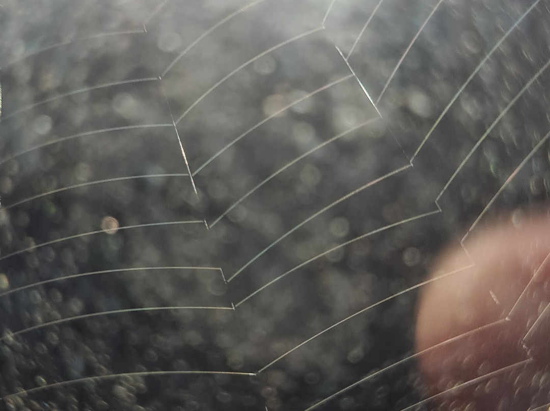 Aradale Ghost Tour - Eerie Tours-亚拉拉特山必去景点