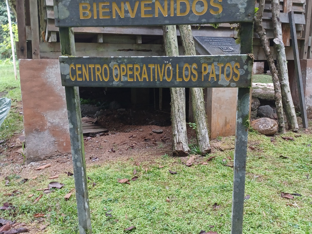 Corcovado Hiking Tours-希门尼斯港必去景点