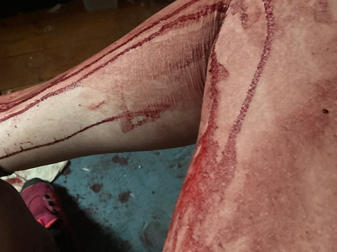 Forêt De Barbizon-巴比松必去景点