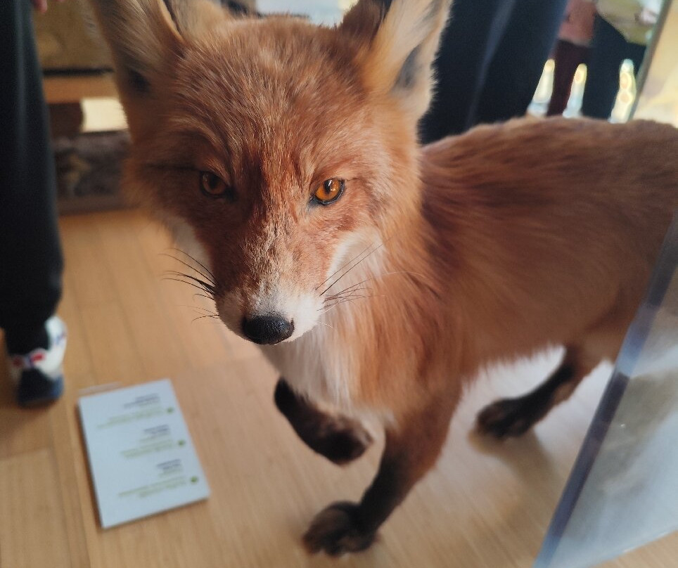 MUSE - Science Museum-特伦托必去景点