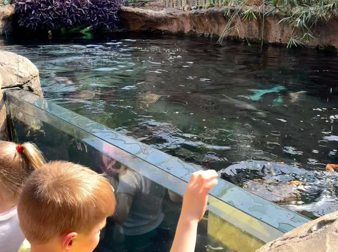 Bristol Aquarium-布里斯托尔必去景点