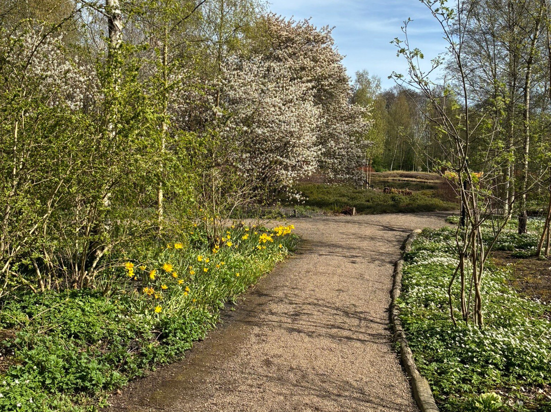 De Braak-阿姆斯特尔芬必去景点