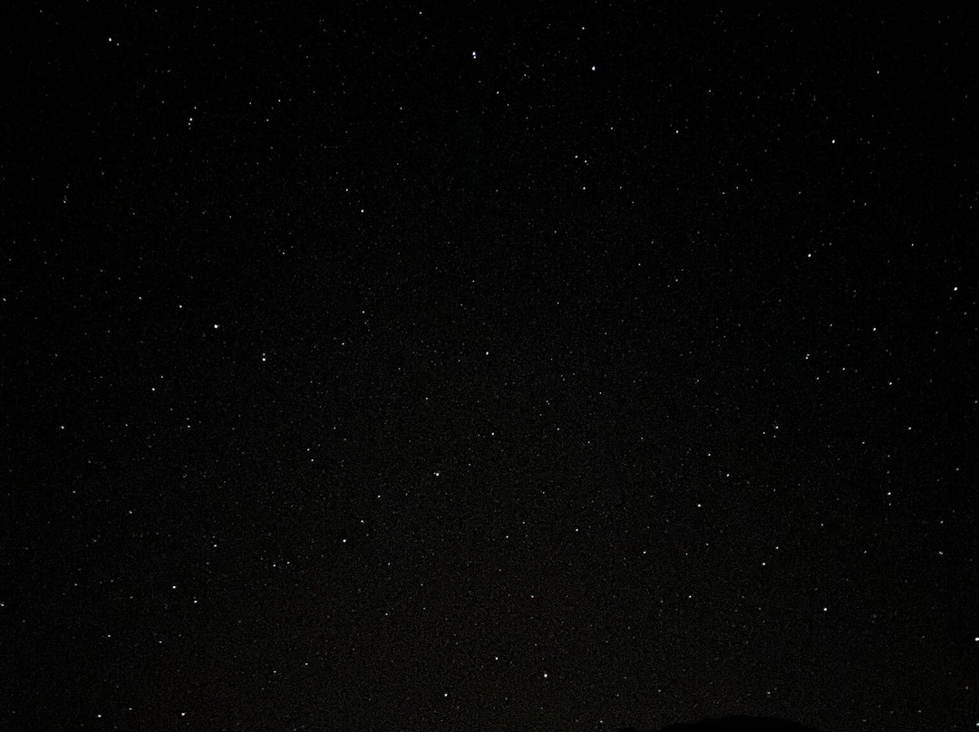 Discover Tenerife VIP Tours-圣克鲁斯-德特内里费必去景点