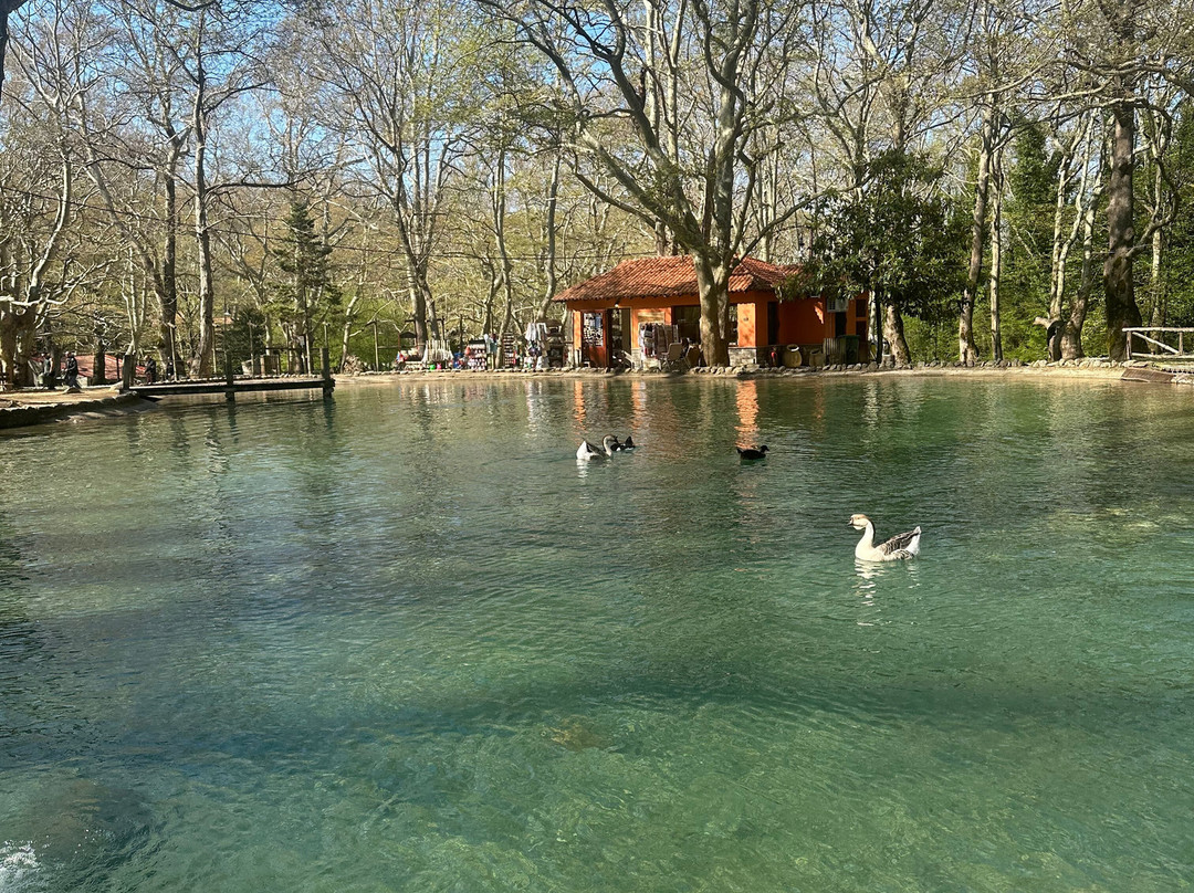 Agios Nikolaos Park-Naousa必去景点