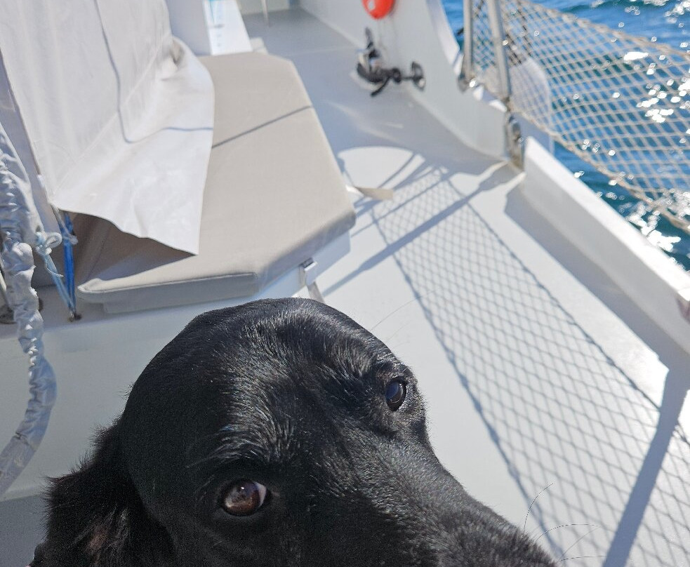 Iliens - La Navette Qui Met Les Voiles-基伯龙必去景点