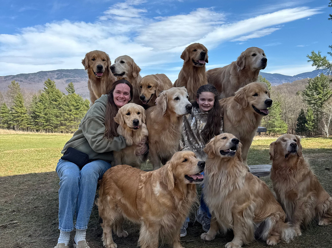 Golden Dog Farm-Jeffersonville必去景点