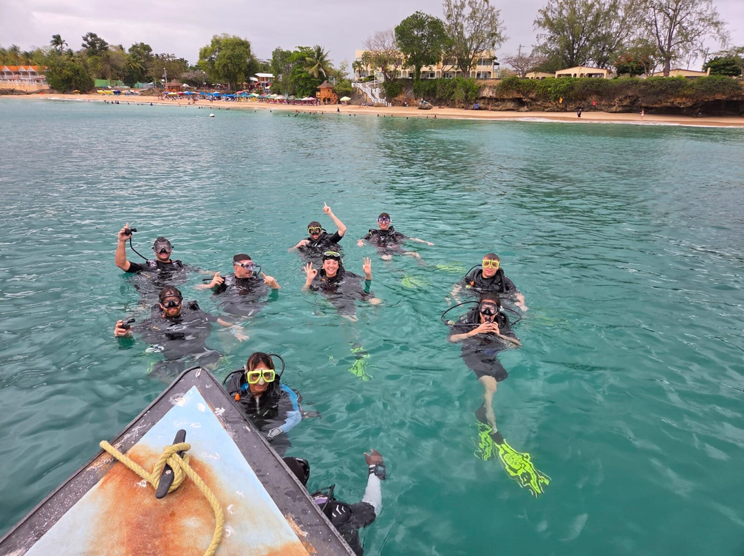 Undersea Tobago Ltd-克朗波因特必去景点