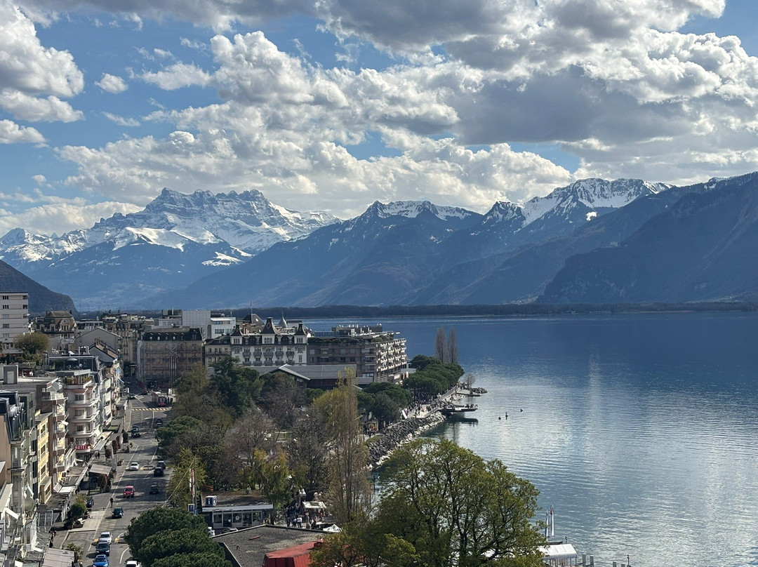 傲途格精选瑞士壮观大酒店主图