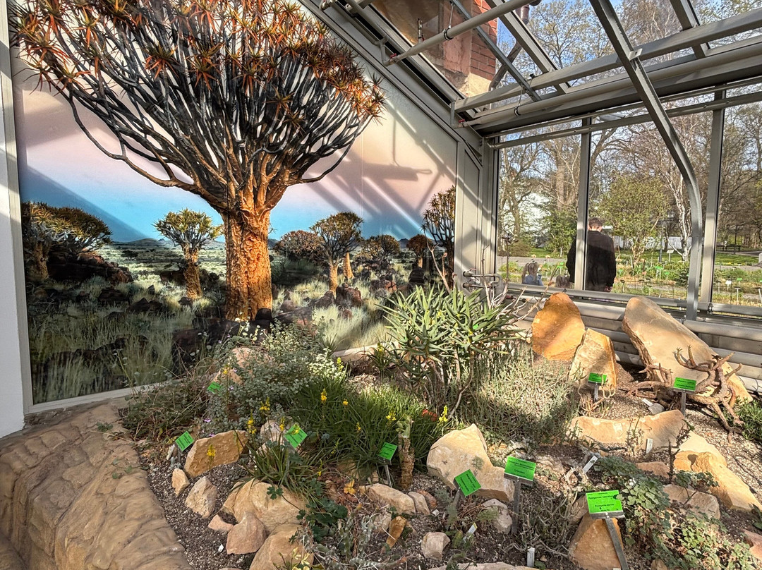 Botanical Garden of the University of Wrocław-弗罗茨瓦夫必去景点