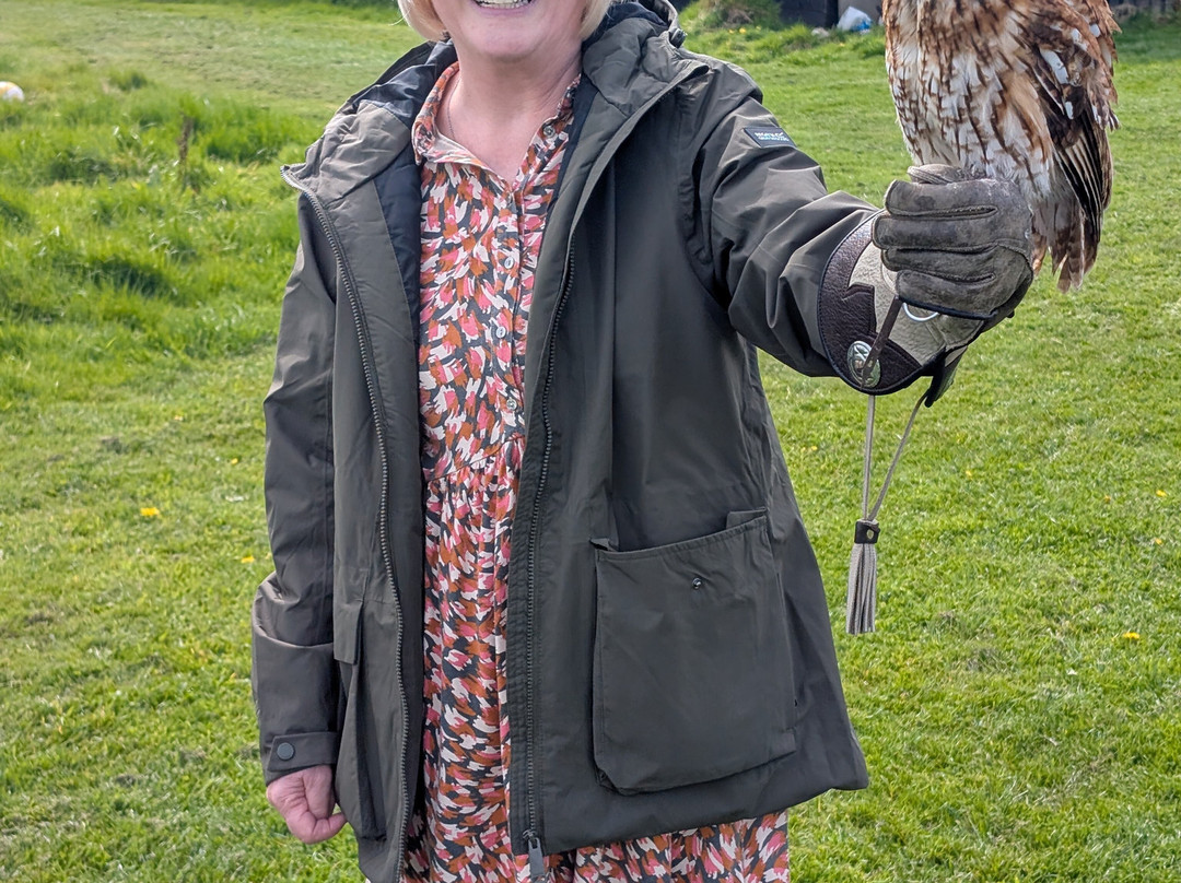 Bird on the Hand Falconry Experiences-Church Langton必去景点
