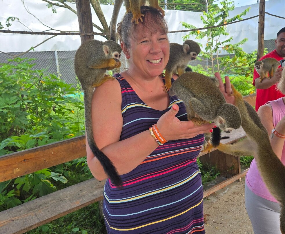 Monkey Home Puerto Plata-普拉塔港必去景点