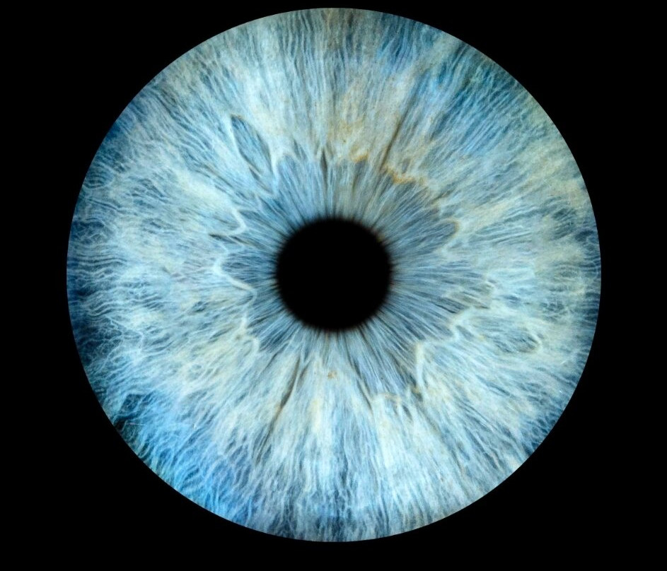 Iris Galerie Sluis-斯勒伊斯必去景点
