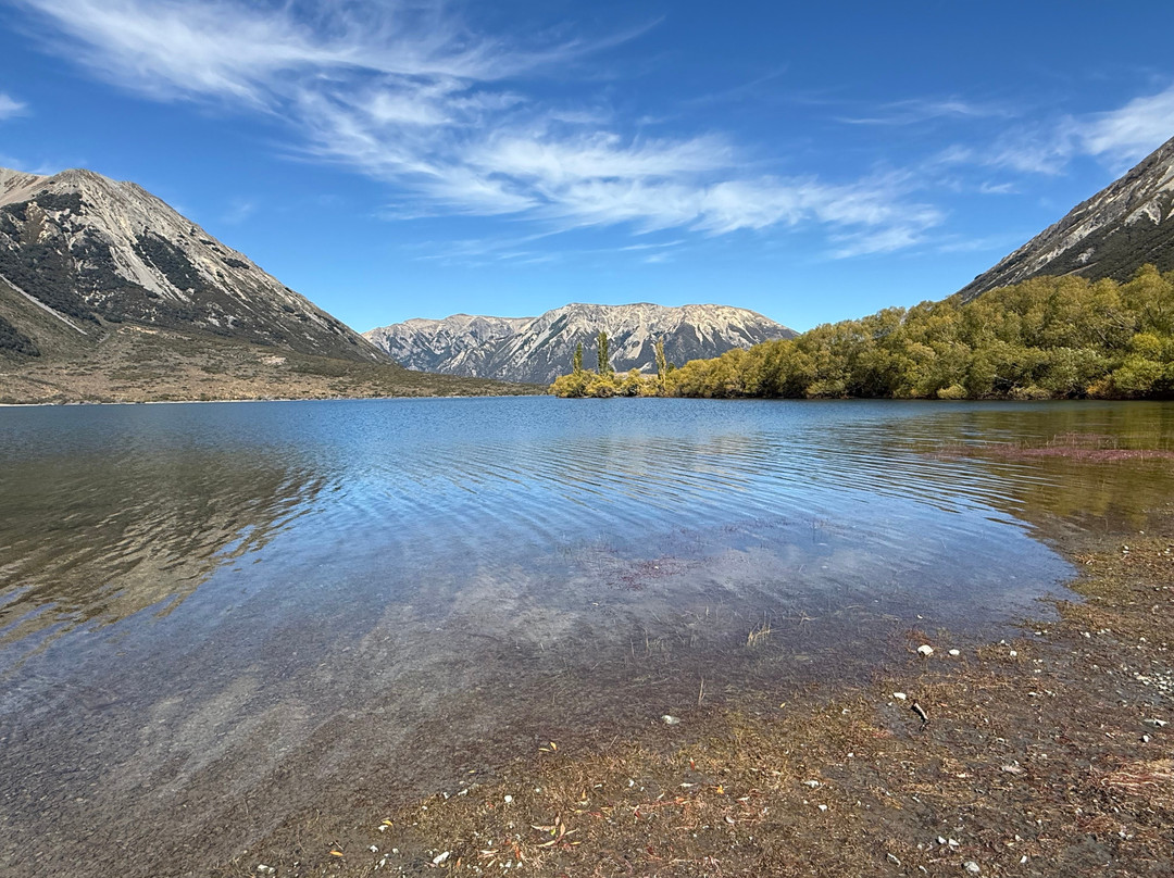 ZigZag Tours NZ-新普利默斯必去景点