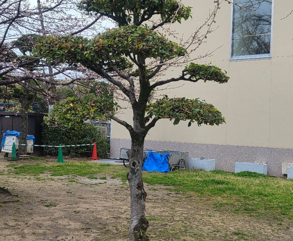 原爆之子塑像-广岛市必去景点